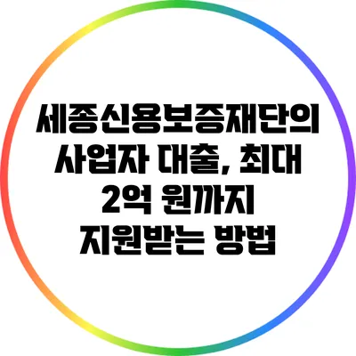 세종신용보증재단의 사업자 대출, 최대 2억 원까지 지원받는 방법