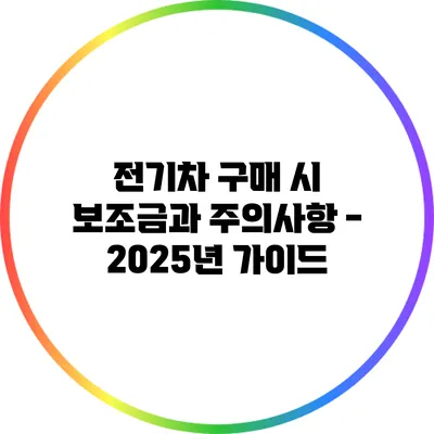 전기차 구매 시 보조금과 주의사항 - 2025년 가이드
