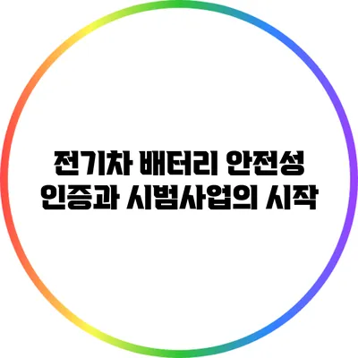 전기차 배터리 안전성 인증과 시범사업의 시작