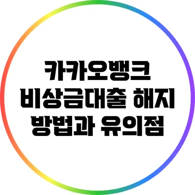 카카오뱅크 비상금대출 해지 방법과 유의점