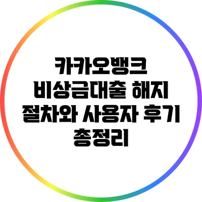 카카오뱅크 비상금대출 해지 절차와 사용자 후기 총정리