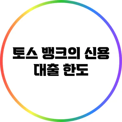 토스 뱅크의 신용 대출: 한도