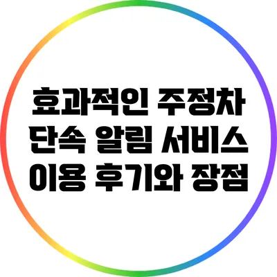 효과적인 주정차 단속 알림 서비스: 이용 후기와 장점