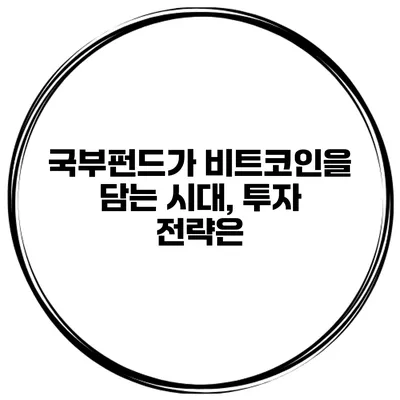 국부펀드가 비트코인을 담는 시대, 투자 전략은?