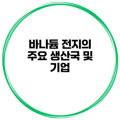 바나듐 전지의 주요 생산국 및 기업