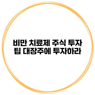 비만 치료제 주식 투자 팁 대장주에 투자하라