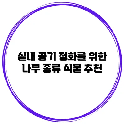 실내 공기 정화를 위한 나무 종류 식물 추천