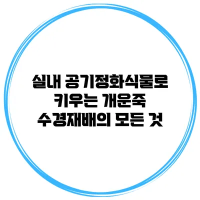 실내 공기정화식물로 키우는 개운죽 수경재배의 모든 것