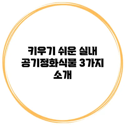 키우기 쉬운 실내 공기정화식물 3가지 소개