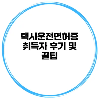 택시운전면허증 취득자 후기 및 꿀팁