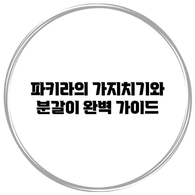 파키라의 가지치기와 분갈이 완벽 가이드