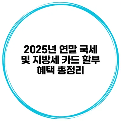 2025년 연말 국세 및 지방세 카드 할부 혜택 총정리