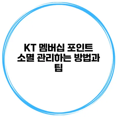 KT 멤버십 포인트 소멸 관리하는 방법과 팁