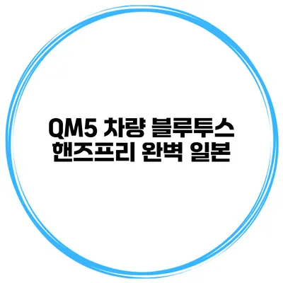 QM5 차량 블루투스 핸즈프리 완벽 일본