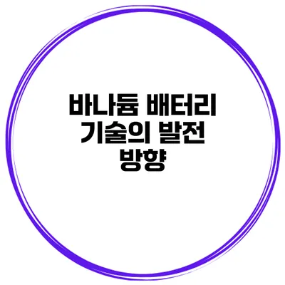 바나듐 배터리 기술의 발전 방향