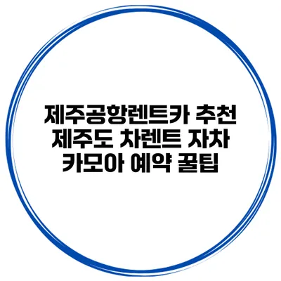 제주공항렌트카 추천 제주도 차렌트 자차 카모아 예약 꿀팁
